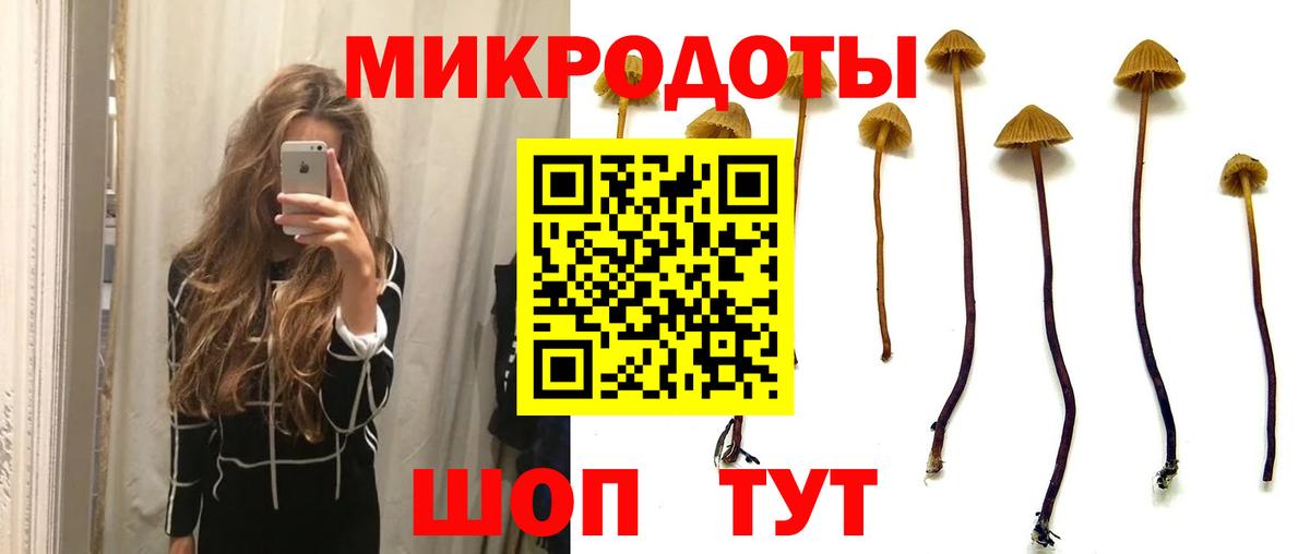 Галлюциногенные грибы GOLDEN TEACHER  Вход с VPN  Обь  Галлюциногенные грибы ЛСД 